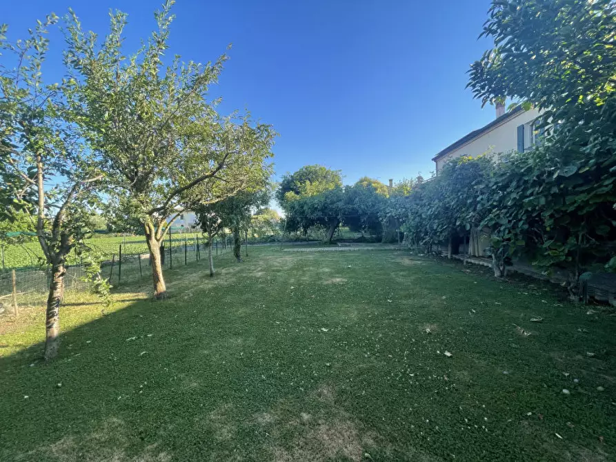 Immagine 28 di Casa bifamiliare in vendita  in VIA CASELLE a Piove Di Sacco