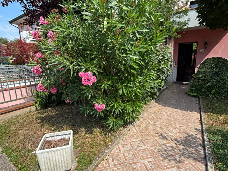 Immagine 12 di Villetta a schiera in vendita  a Fratta Polesine