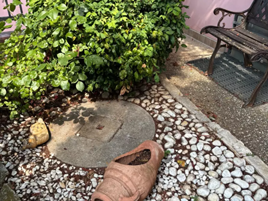 Immagine 19 di Villetta a schiera in vendita  a Fratta Polesine
