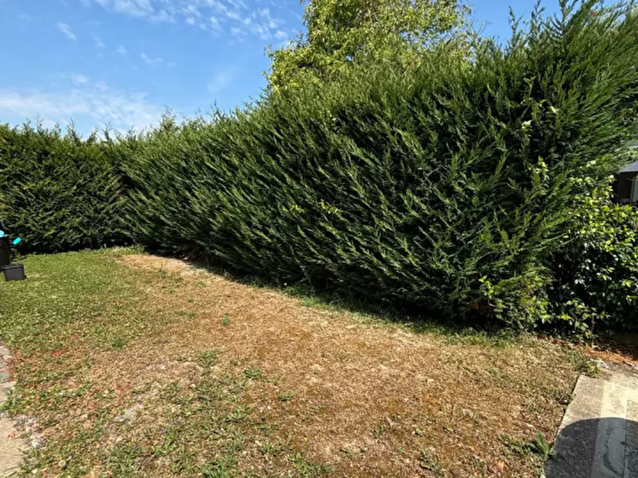 Immagine 21 di Villetta a schiera in vendita  a Fratta Polesine