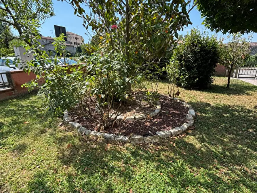Immagine 23 di Villetta a schiera in vendita  a Fratta Polesine