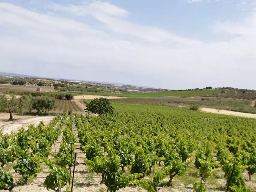 Immagine 22 di Casa indipendente in vendita  in contrada bonivini a Noto