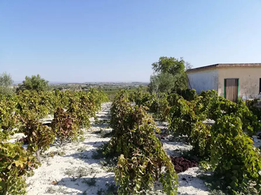 Immagine 24 di Casa indipendente in vendita  in contrada bonivini a Noto