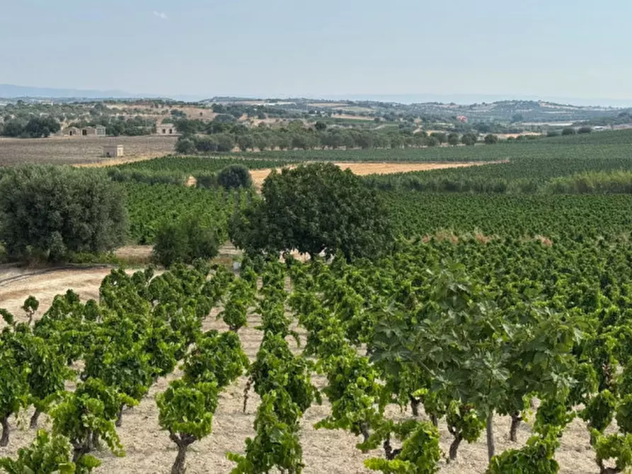 Immagine 28 di Casa indipendente in vendita  in contrada bonivini a Noto