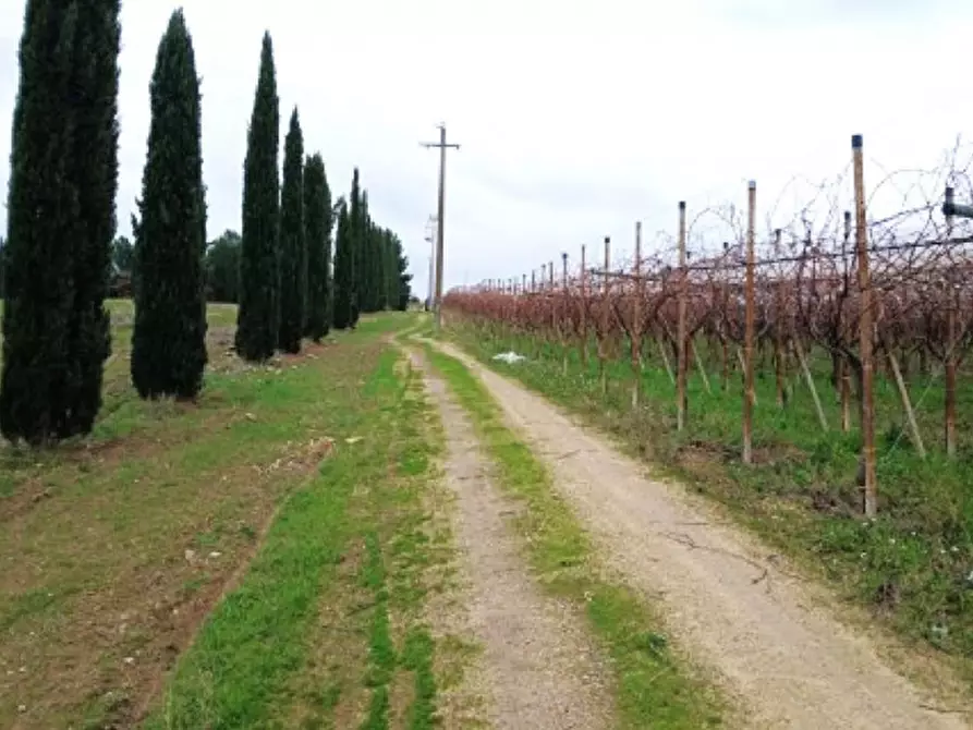 Immagine 1 di Terreno in vendita  in SP143, Canosa di Puglia BT, Italia a Canosa Di Puglia