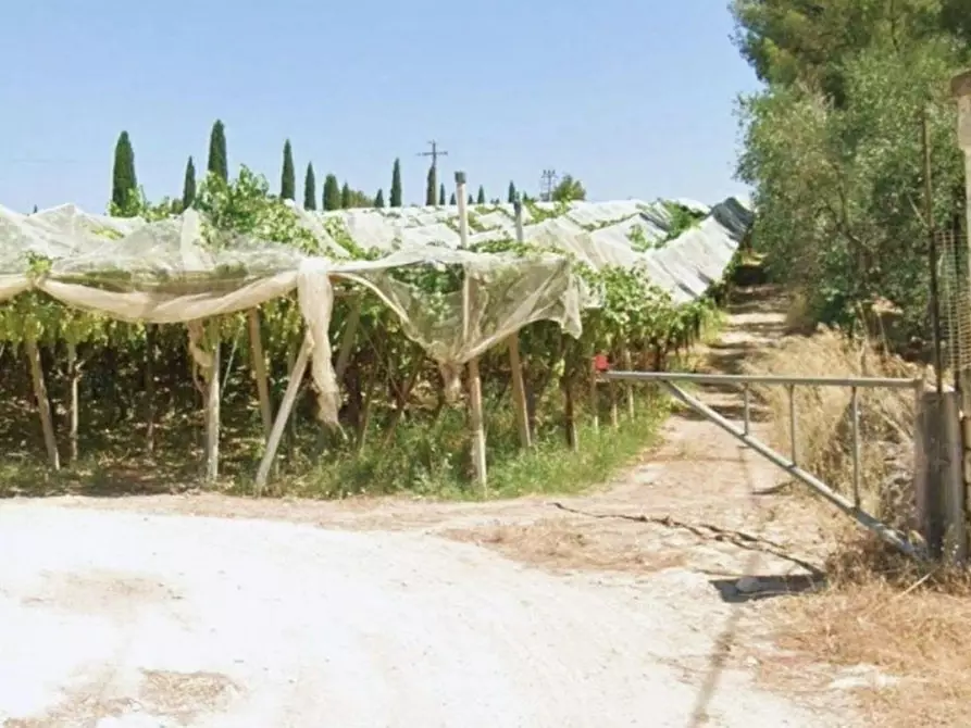 Immagine 3 di Terreno in vendita  in SP143, Canosa di Puglia BT, Italia a Canosa Di Puglia