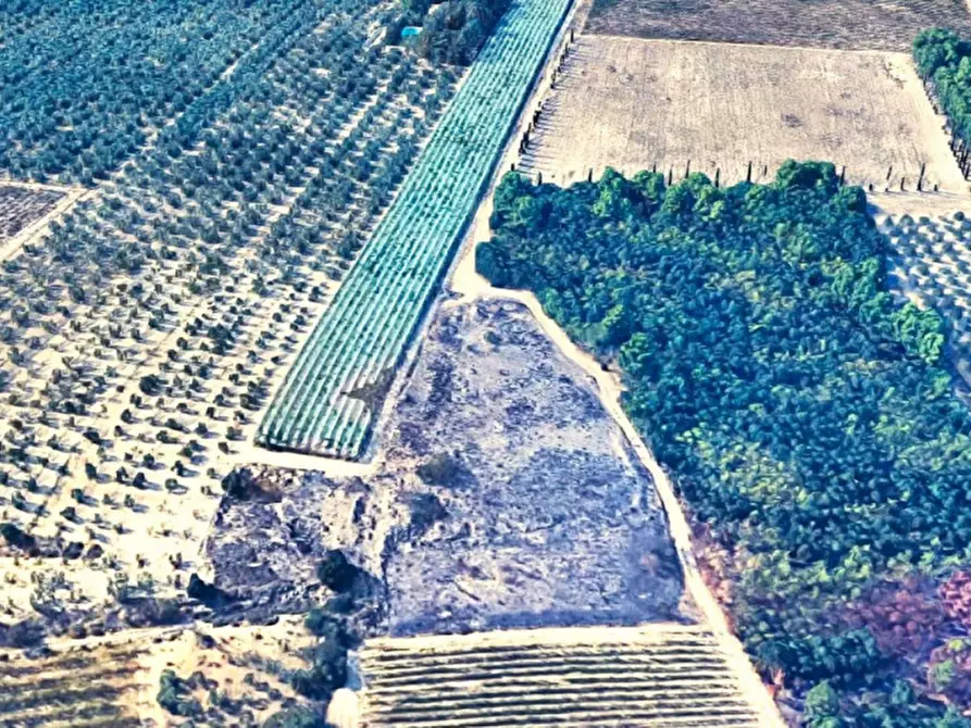 Immagine 4 di Terreno in vendita  in SP143, Canosa di Puglia BT, Italia a Canosa Di Puglia
