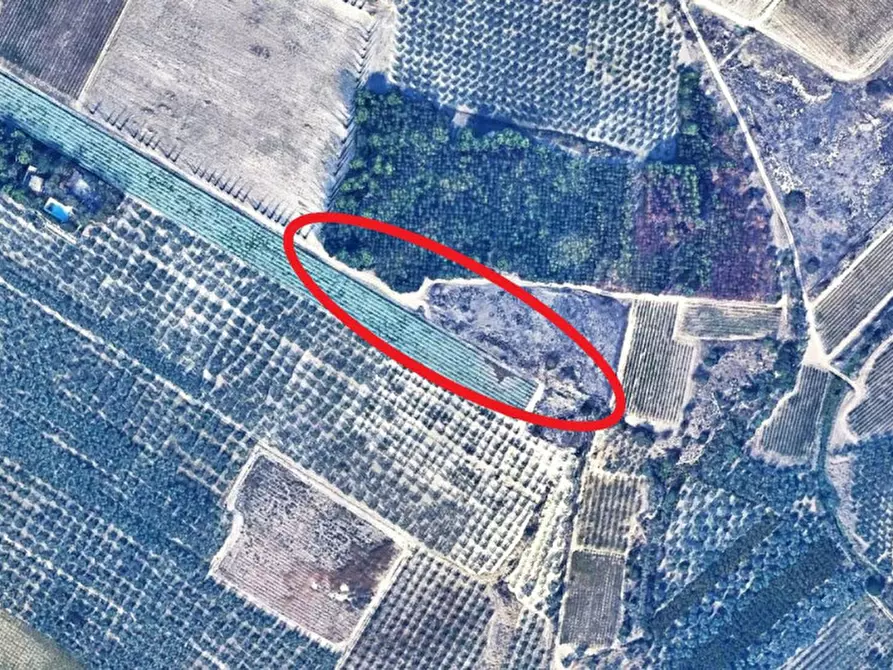 Immagine 10 di Terreno in vendita  in SP143, Canosa di Puglia BT, Italia a Canosa Di Puglia