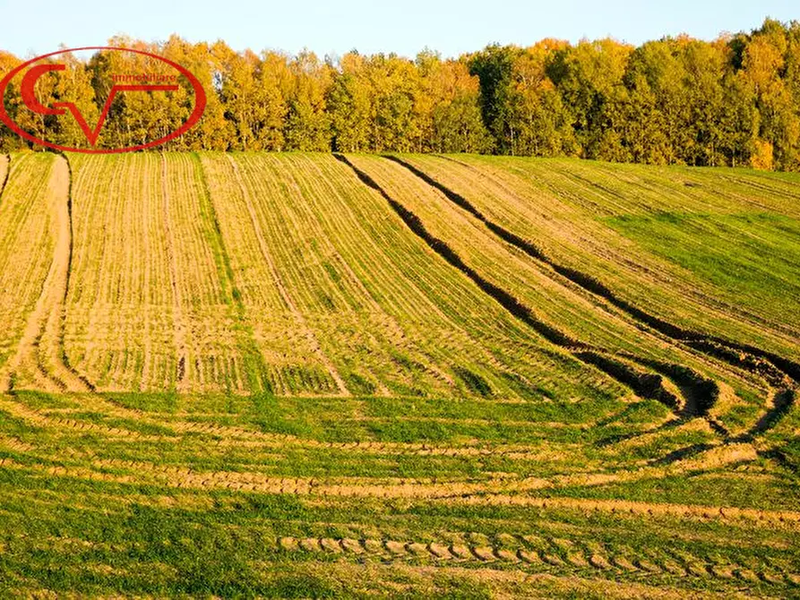Immagine 1 di Terreno in vendita  in figline valdarno a Figline E Incisa Valdarno