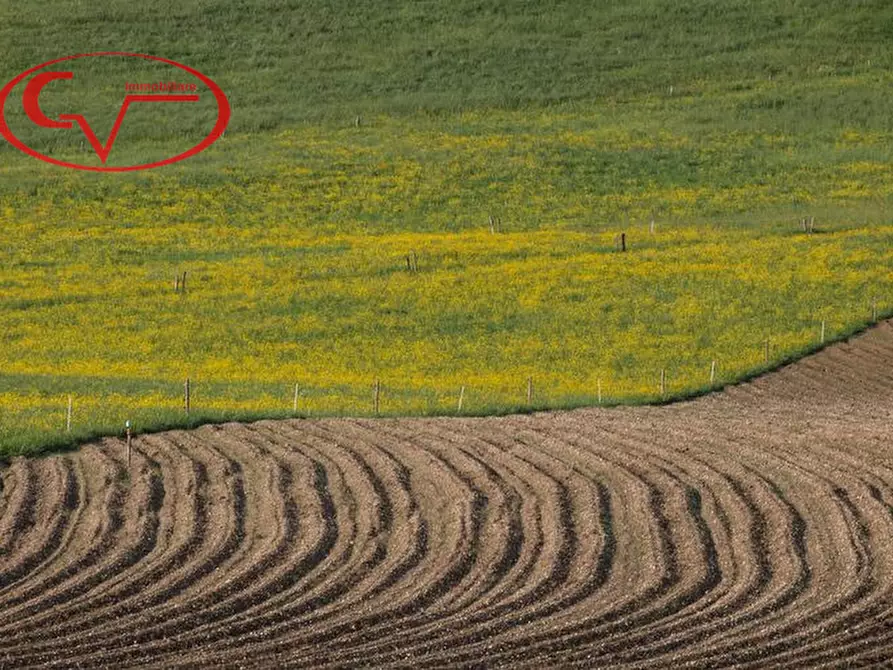 Immagine 4 di Terreno in vendita  in figline valdarno a Figline E Incisa Valdarno