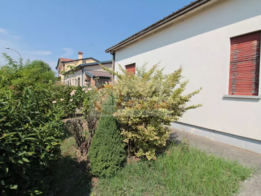 Immagine 11 di Casa bifamiliare in vendita  in Via Veneto a Campolongo Maggiore