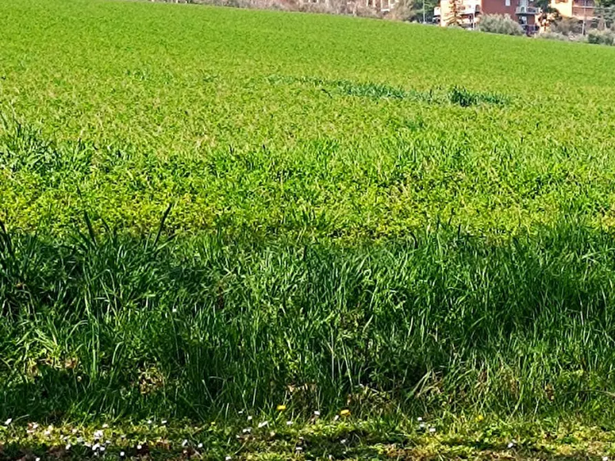 Immagine 3 di Casa indipendente in vendita  in via delle Vigne a Coriano
