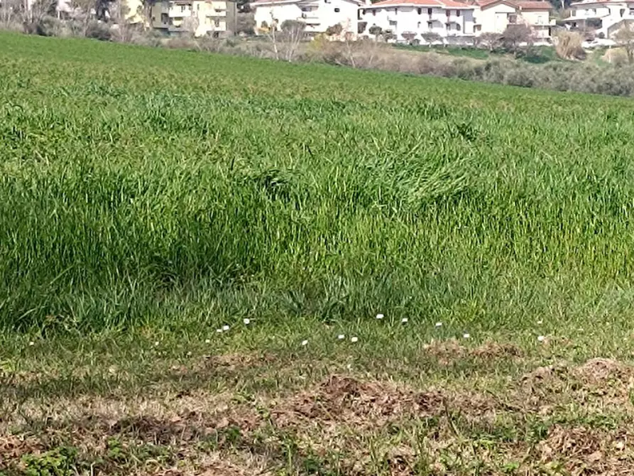 Immagine 30 di Casa indipendente in vendita  in via delle Vigne a Coriano