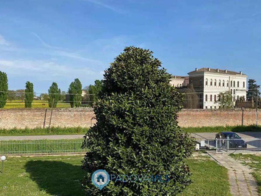Immagine 37 di Villa in vendita  in via mare a Conselve