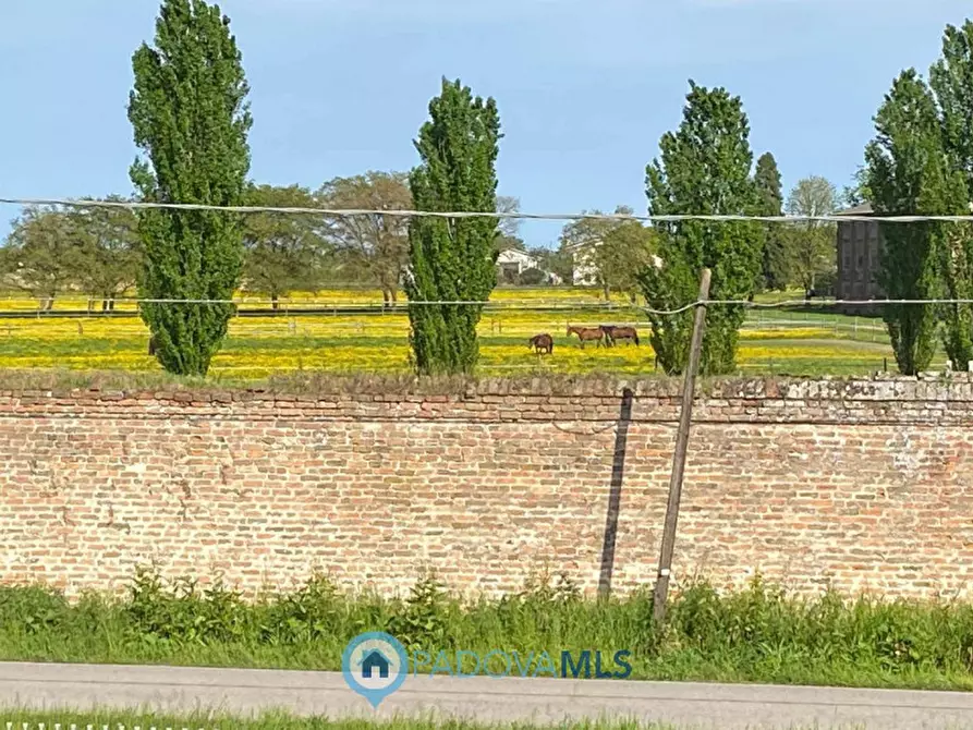 Immagine 39 di Villa in vendita  in via mare a Conselve