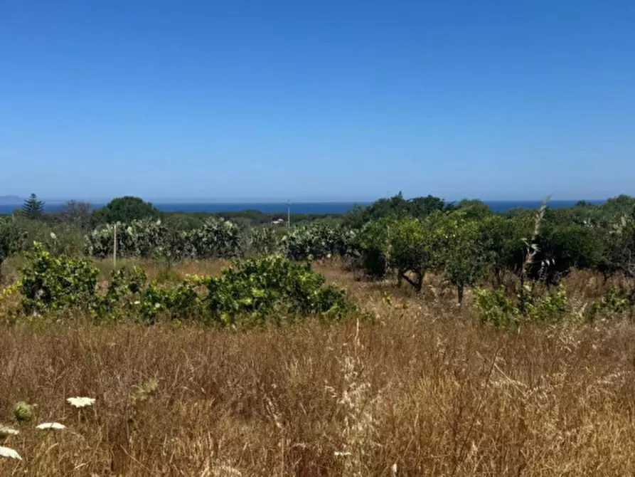 Immagine 3 di Rustico / casale in vendita  in loc. Lu Padru Li Franzesi a Sorso