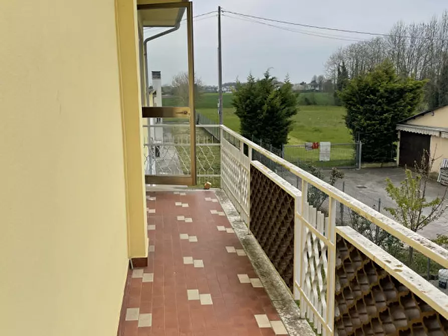 Immagine 21 di Negozio in vendita  in via padana a Sant'angelo Di Piove Di Sacco