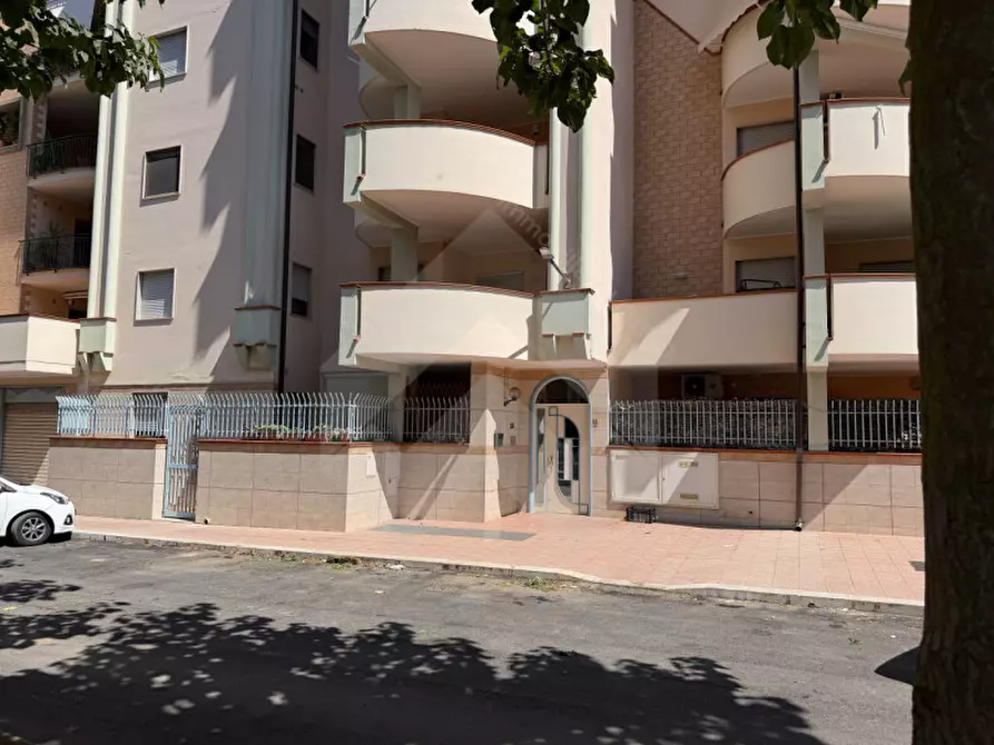 Immagine 16 di Appartamento in vendita  in Via Degli Ulivi, 33 a Andria