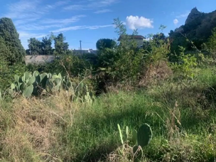 Immagine 5 di Terreno in vendita  in Via Francesco Perez a Bagheria