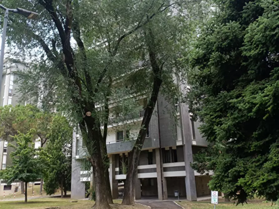 Immagine 17 di Appartamento in vendita  in Via Pier Paolo Vergerio a Padova