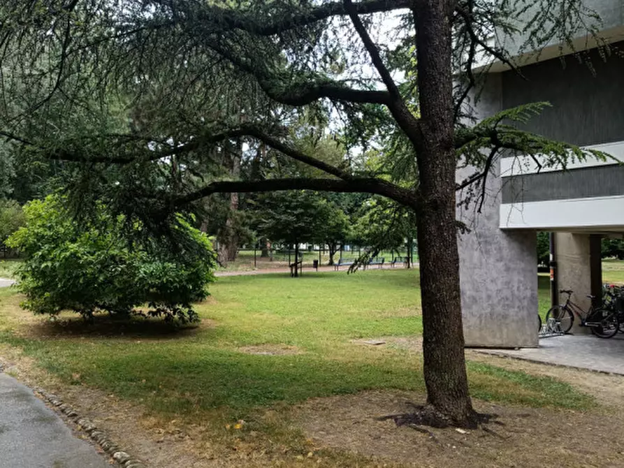 Immagine 23 di Appartamento in vendita  in Via Pier Paolo Vergerio a Padova