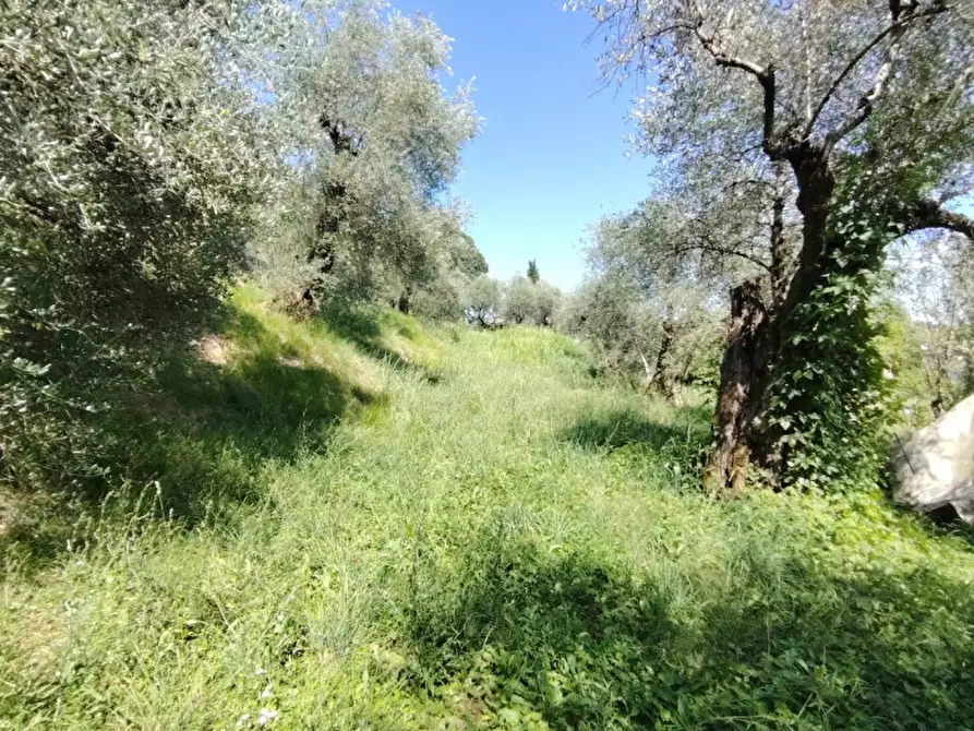 Immagine 5 di Terreno in vendita  in Viale Asiago a Bassano Del Grappa
