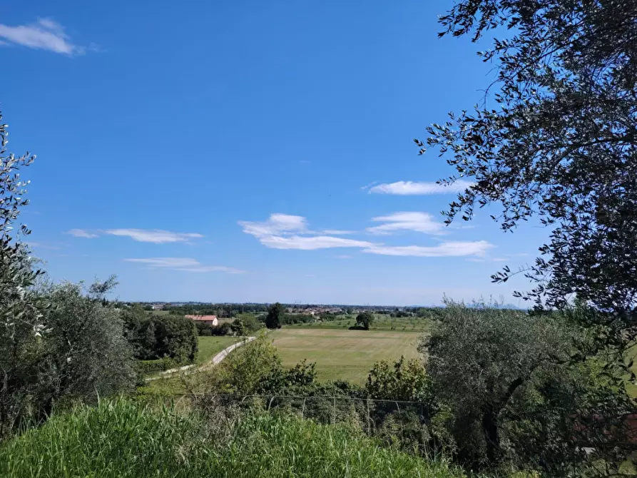 Immagine 6 di Terreno in vendita  in Viale Asiago a Bassano Del Grappa