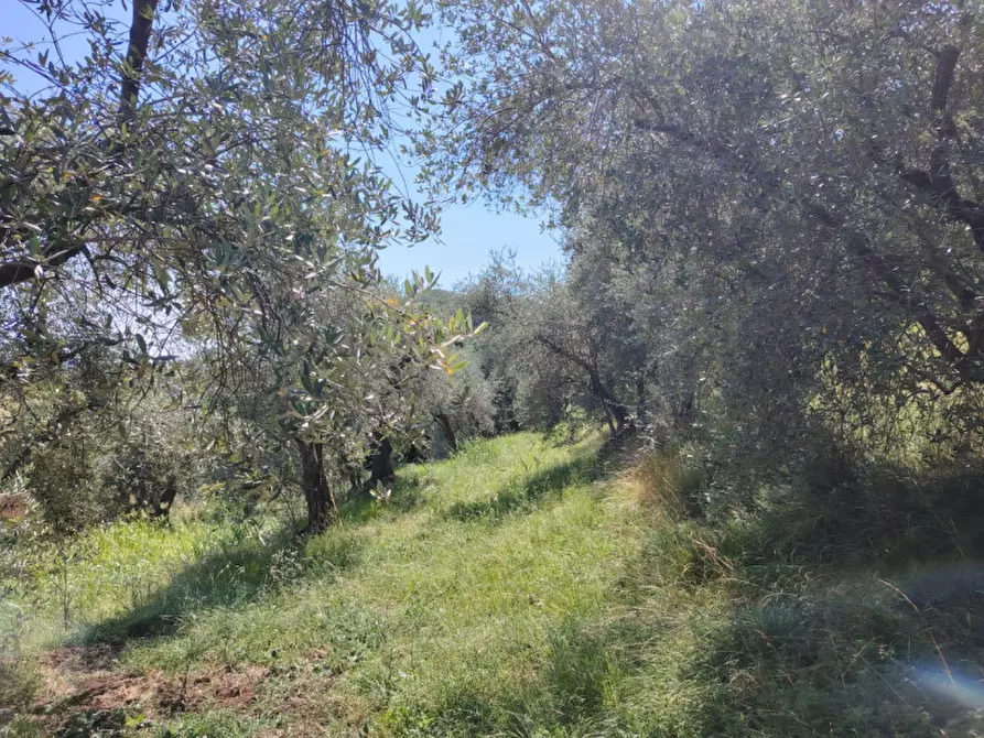 Immagine 7 di Terreno in vendita  in Viale Asiago a Bassano Del Grappa