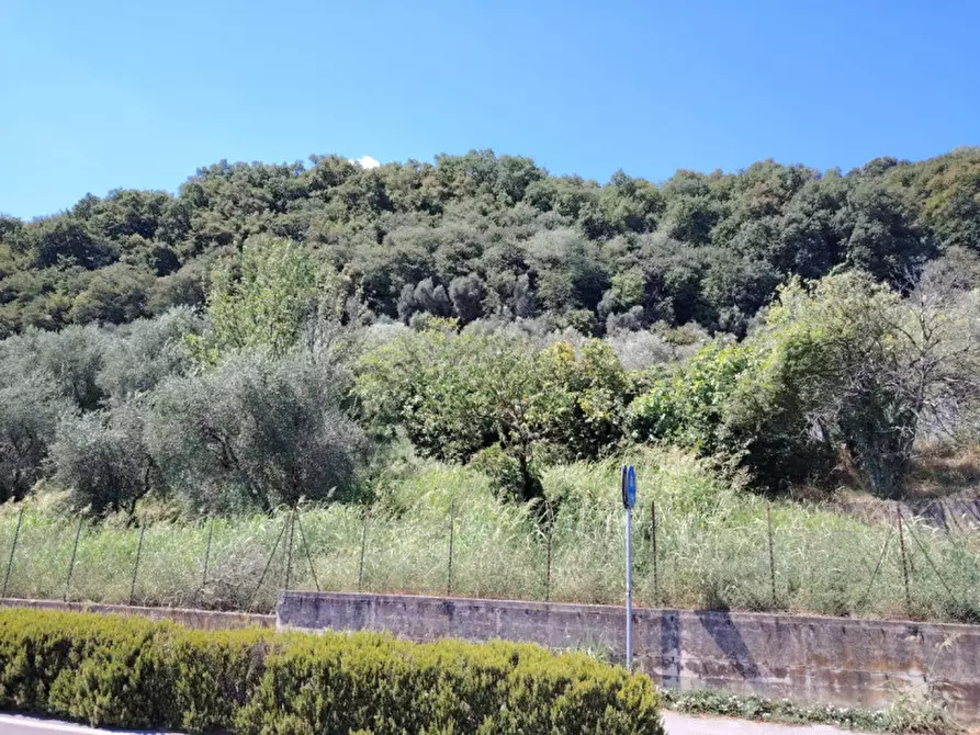 Immagine 10 di Terreno in vendita  in Viale Asiago a Bassano Del Grappa