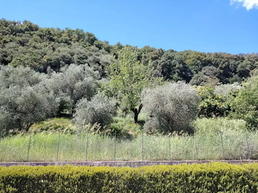 Immagine 11 di Terreno in vendita  in Viale Asiago a Bassano Del Grappa