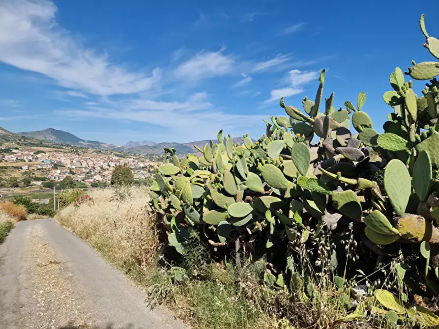 Immagine 1 di Terreno in vendita  in STRADA COMUNALE GRASSORELLI a Bolognetta