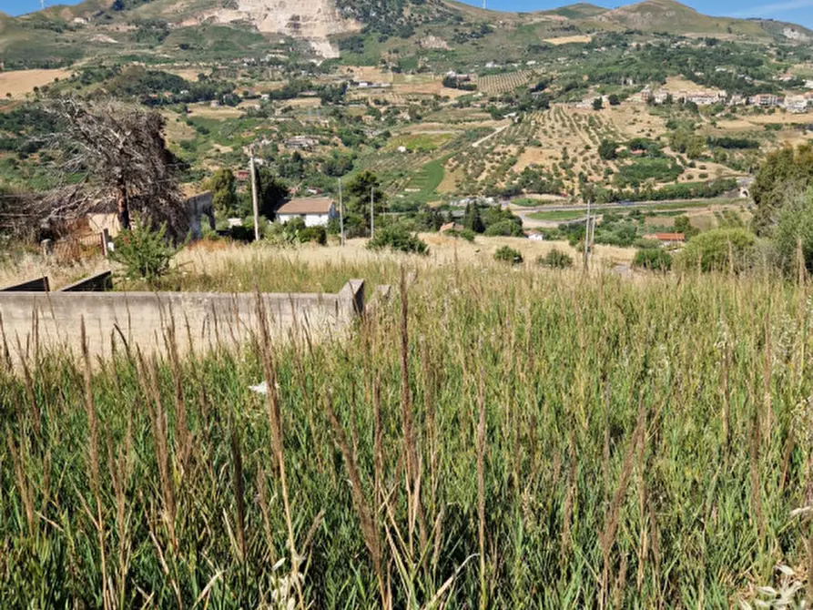 Immagine 3 di Terreno in vendita  in STRADA COMUNALE GRASSORELLI a Bolognetta