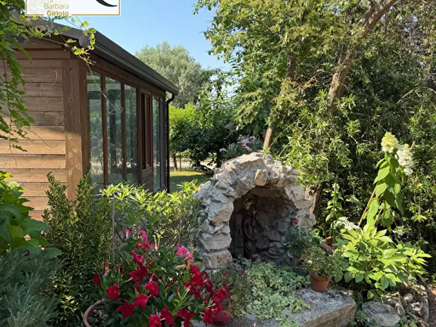 Immagine 3 di Casa indipendente in vendita  a Castelguglielmo