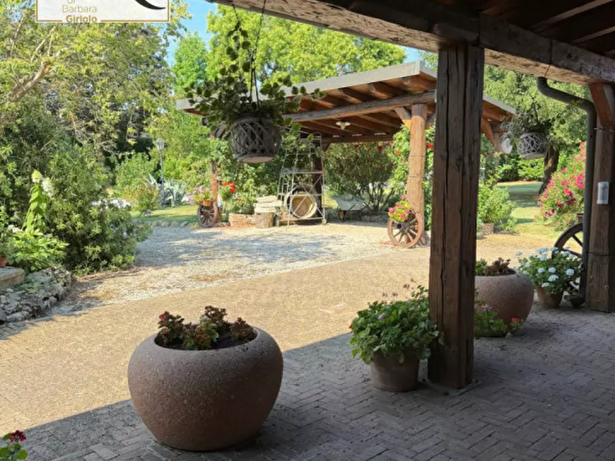Immagine 6 di Casa indipendente in vendita  a Castelguglielmo