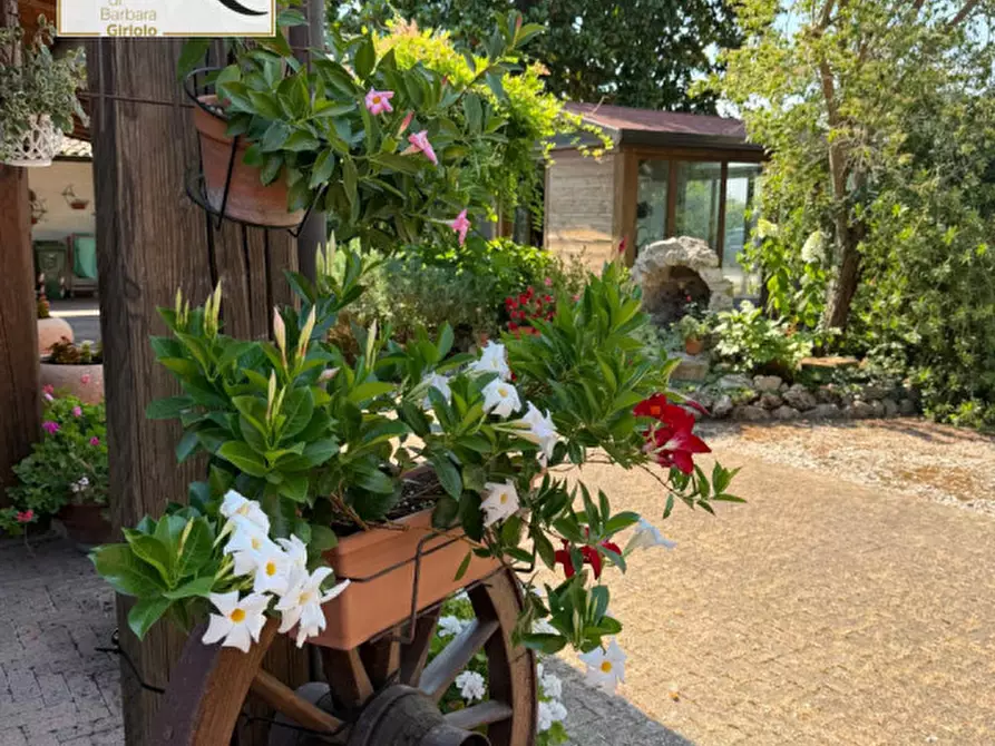 Immagine 7 di Casa indipendente in vendita  a Castelguglielmo