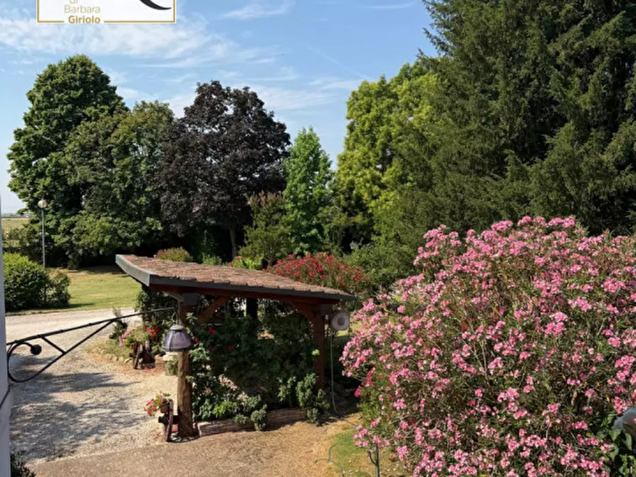 Immagine 33 di Casa indipendente in vendita  a Castelguglielmo