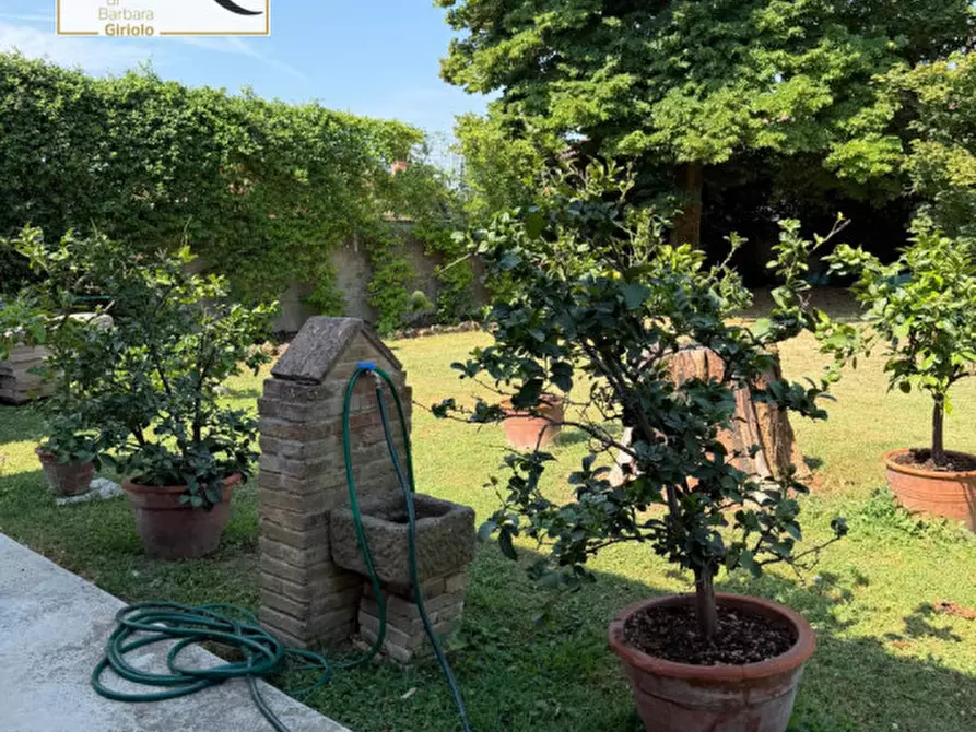 Immagine 34 di Casa indipendente in vendita  a Castelguglielmo