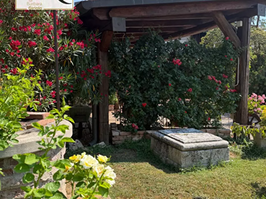 Immagine 35 di Casa indipendente in vendita  a Castelguglielmo