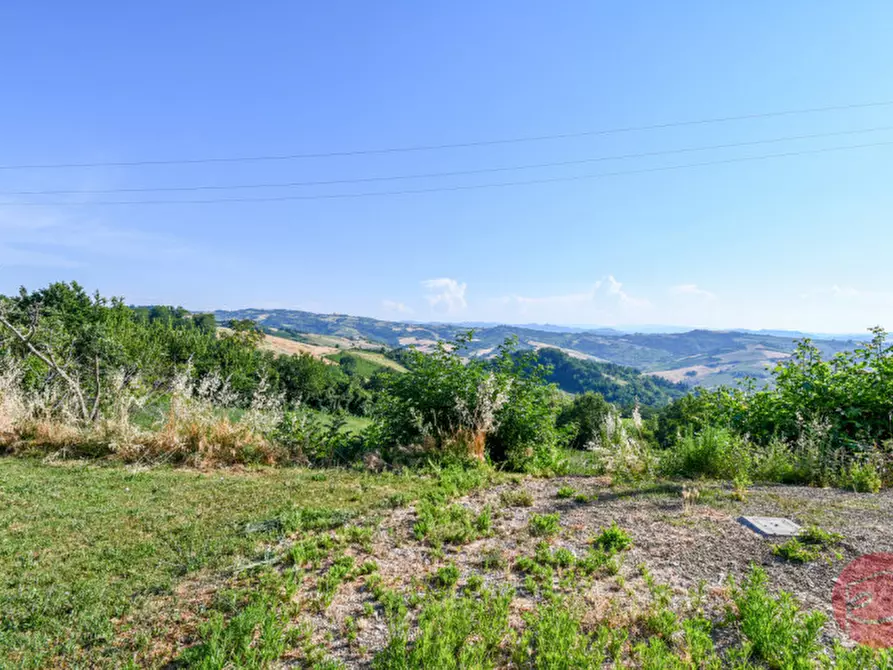 Immagine 20 di Capannone industriale in vendita  in Viale Polenta 848 a Bertinoro