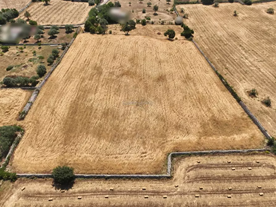 Immagine 3 di Terreno in vendita  in Contrada Pietra Nera Zagaria a Modica