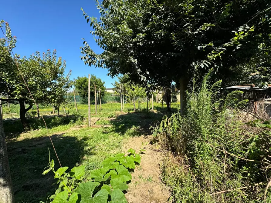 Immagine 8 di Villetta a schiera in vendita  in Via Olmo a Cologna Veneta