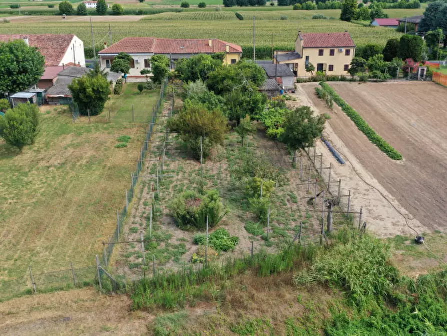 Immagine 9 di Villetta a schiera in vendita  in Via Olmo a Cologna Veneta