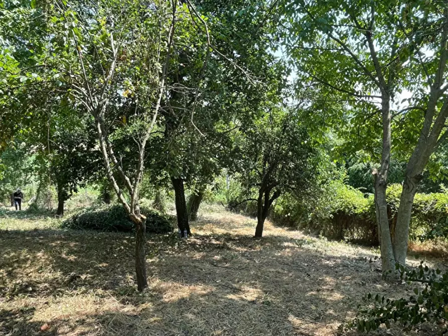 Immagine 16 di Casa indipendente in vendita  in La rocca di Bacedasco basso a Vernasca