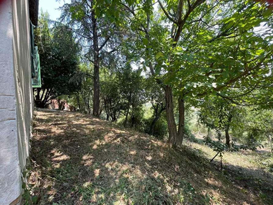 Immagine 17 di Casa indipendente in vendita  in La rocca di Bacedasco basso a Vernasca