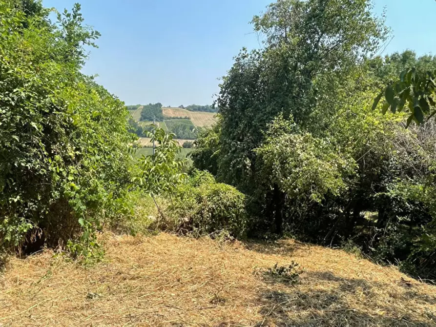 Immagine 19 di Casa indipendente in vendita  in La rocca di Bacedasco basso a Vernasca