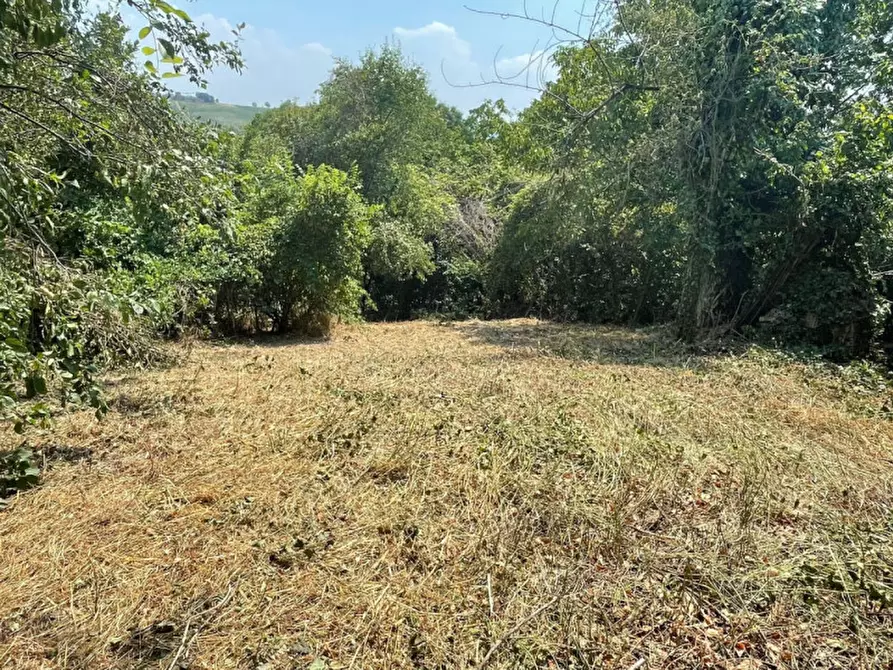 Immagine 21 di Casa indipendente in vendita  in La rocca di Bacedasco basso a Vernasca