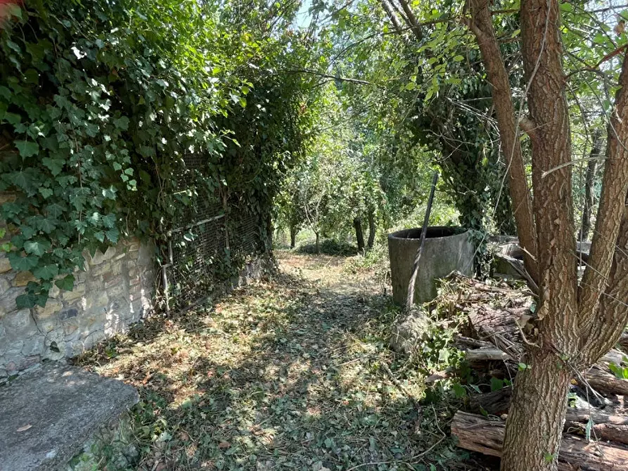 Immagine 22 di Casa indipendente in vendita  in La rocca di Bacedasco basso a Vernasca