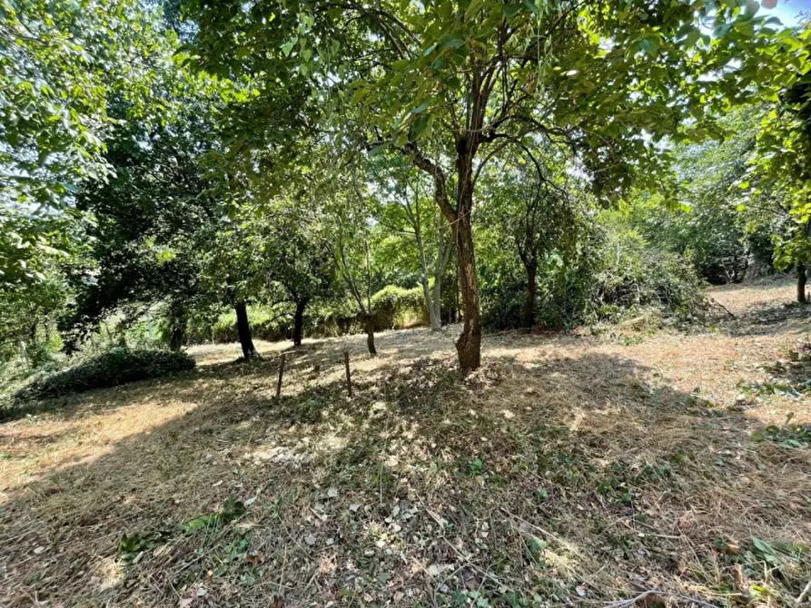 Immagine 23 di Casa indipendente in vendita  in La rocca di Bacedasco basso a Vernasca