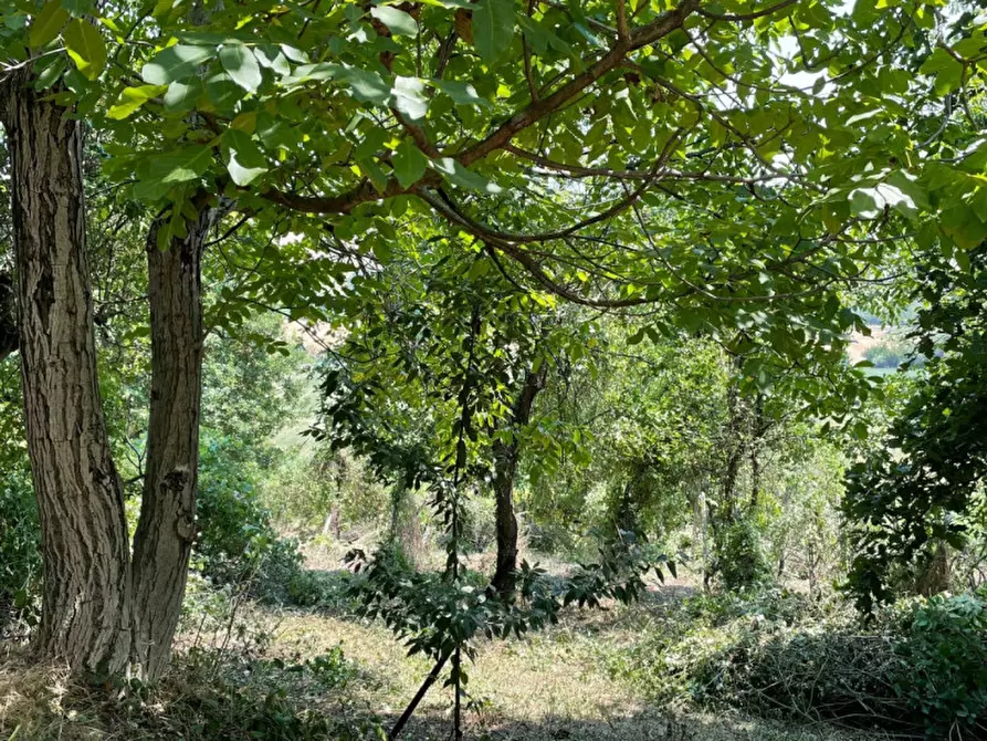 Immagine 24 di Casa indipendente in vendita  in La rocca di Bacedasco basso a Vernasca