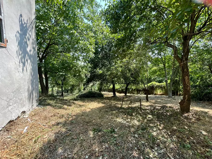 Immagine 30 di Casa indipendente in vendita  in La rocca di Bacedasco basso a Vernasca